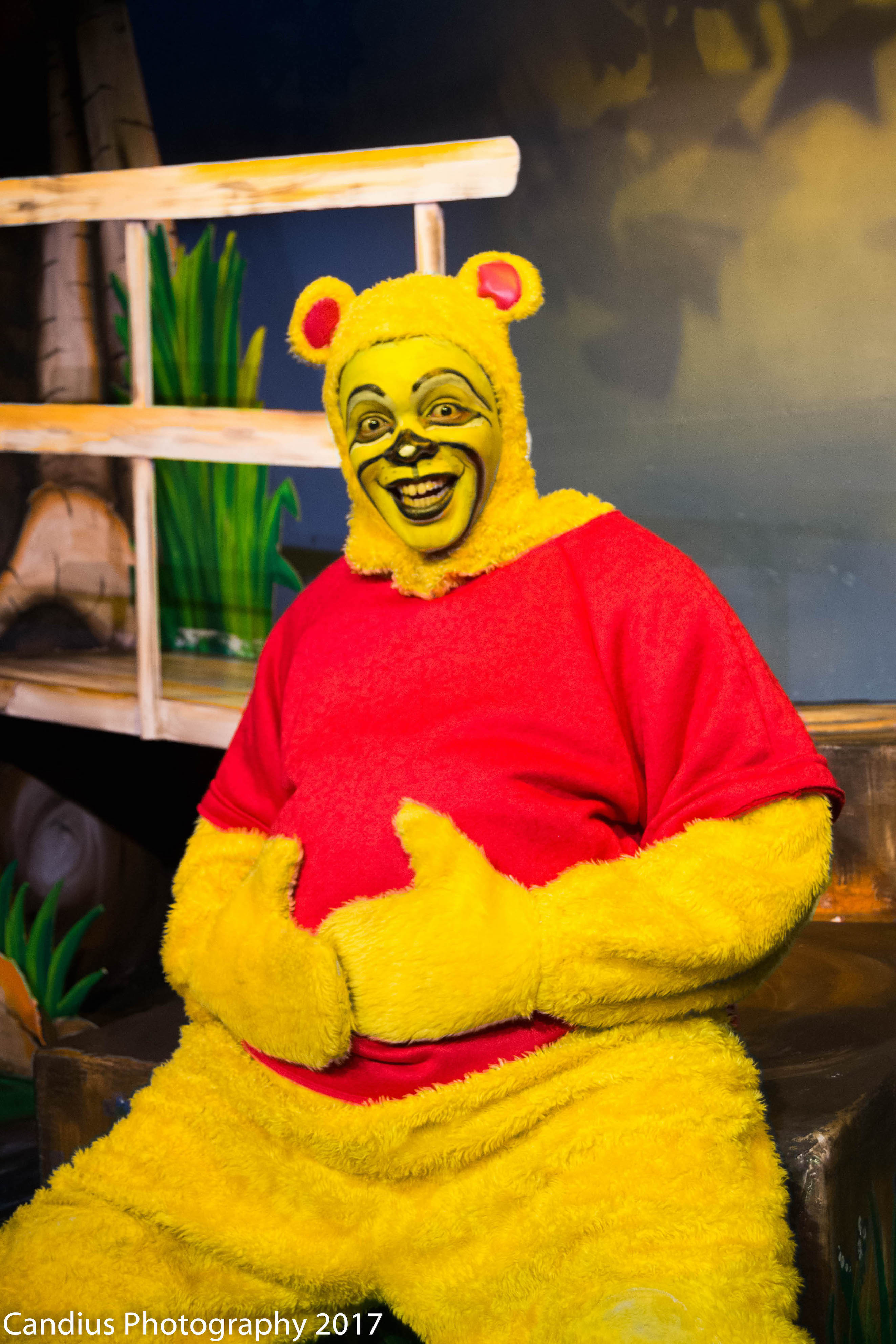 Disney's Winnie The Pooh - Photo 4
